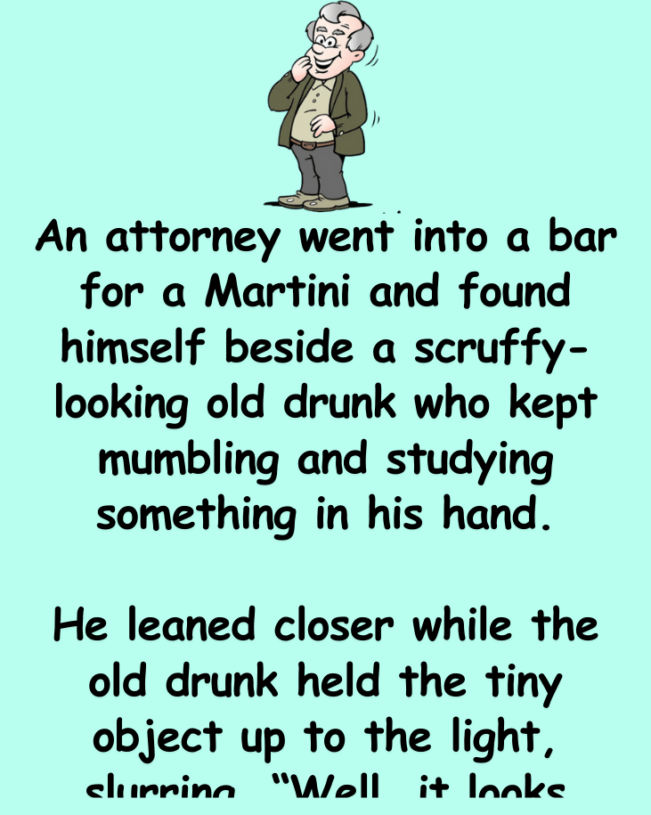 An Attorney Went Into A Bar For Martini