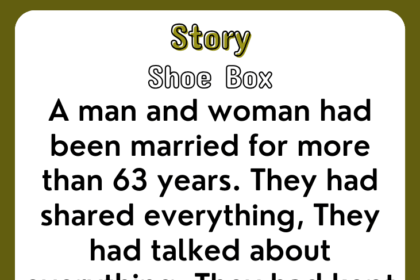 Story ‣ Shoe Box
