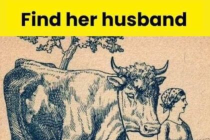 “Brain Teaser Challenge” Find The Farmer’s Husband In 6 Seconds!