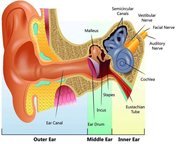 Why You Should Stop Cleaning Your Ears With Cotton Swabs And What to Do Instead