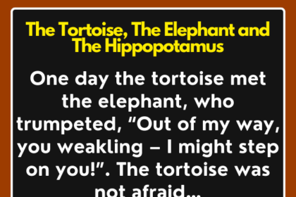 Story: The Tortoise, The Elephant and The Hippopotamus