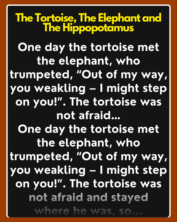 Story: The Tortoise, The Elephant and The Hippopotamus