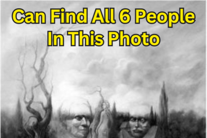 Can You Spot The Six Hidden Faces? Optical Illusion Test