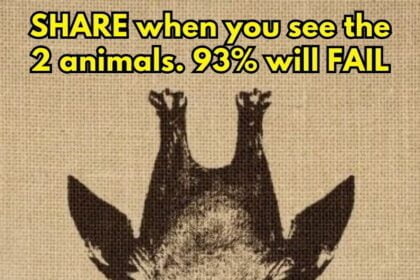 SHARE when you see the 2 animals. 93% will FAIL