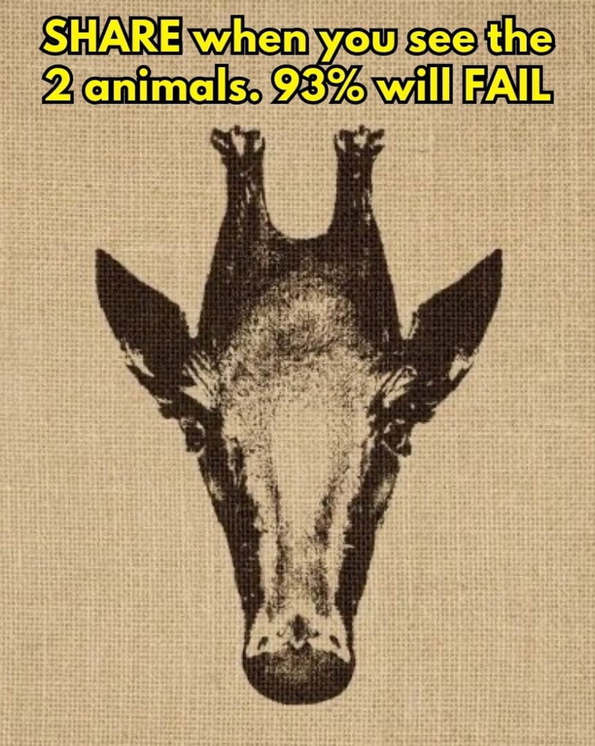 SHARE when you see the 2 animals. 93% will FAIL