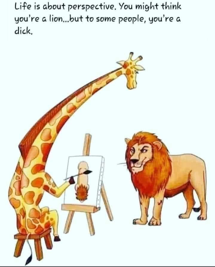 Life is about perspective, You might think you're a lion...but to some people, you're a dick.