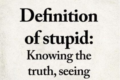 Definition of stupid