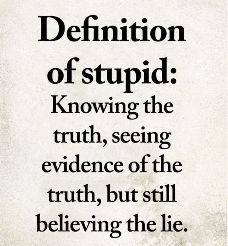 Definition of stupid