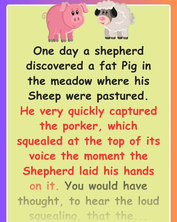 The Sheep And The Pig Story