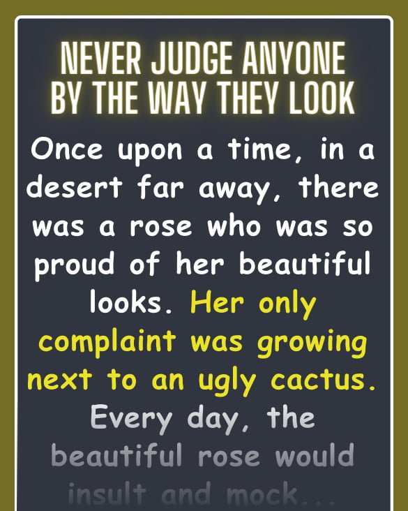 Never Judge Anyone By The Way They Look