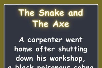 The Snake and The Axe