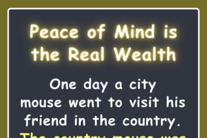 Peace of Mind is the Real Wealth