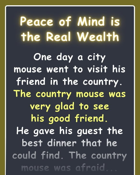 Peace of Mind is the Real Wealth