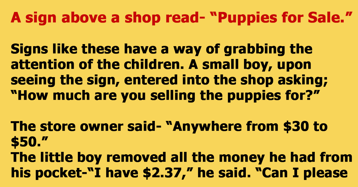 The Little Boy Decided To Buy A Puppy Instead Of Get It For Free