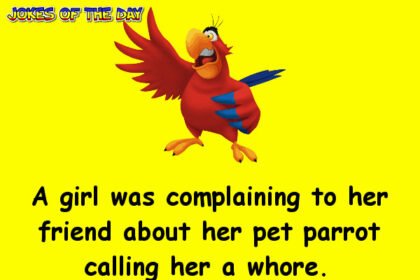 What This Crude Parrot Says Cracks Me Up!