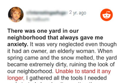 Teen Boy Cleans Old Woman’s Yard All Day, after Which All the Neighbors Gather near Her House – Story of the Day