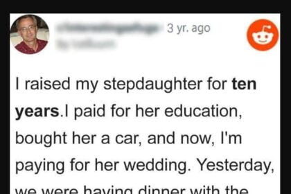 Story of the day – I Funded My Stepdaughter’s Wedding, But She..