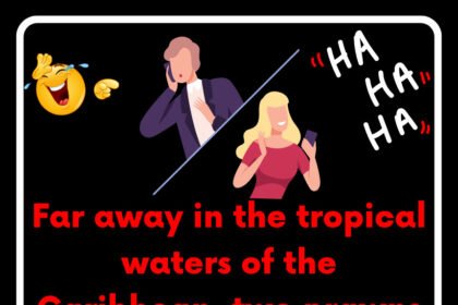 Far away in the tropical waters of the Caribbean, two prawns were swimming around in the sea - one called Justin and the other called Christian.