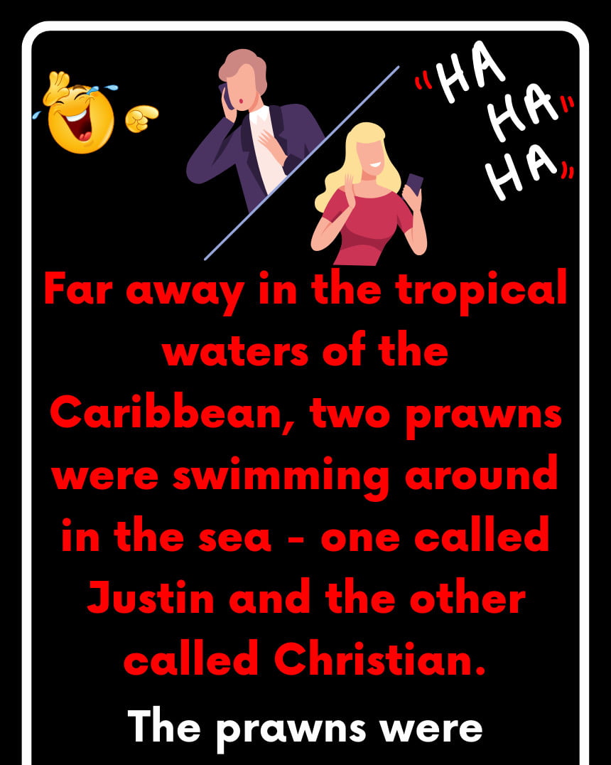 Far away in the tropical waters of the Caribbean, two prawns were swimming around in the sea - one called Justin and the other called Christian.