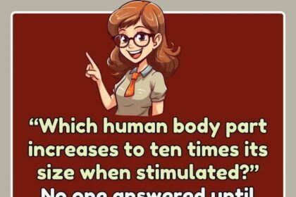 The teacher asked, Which body part increases to 10 times its size when stimulated