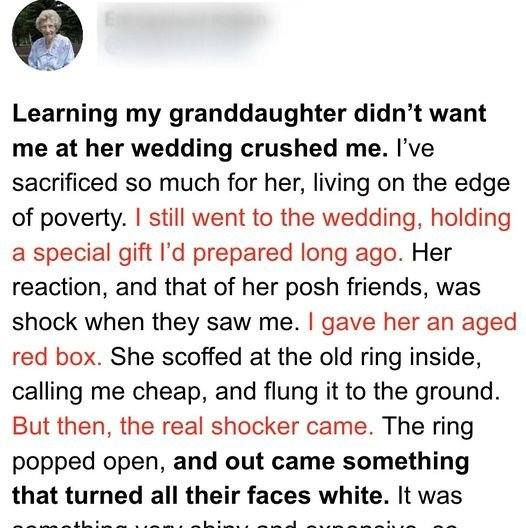 Girl Mocks Poor Grandma for Cheap Old Ring She Gifts Her, Throws It Away and It Opens — Story of the Day