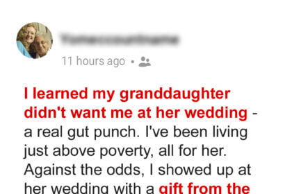 Girl Mocks Poor Grandma for Cheap Old Ring She Gifts Her, Throws It Away and It Opens — Story of the Day