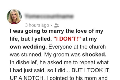 I Yelled 'I Don’t!' at My Own Wedding after Conversation with Groom’s Mother Whose Plan Almost Worked Out