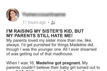 I’m Raising My Sister’s Kid, but My Parents Still Hate Me – Story of the Day