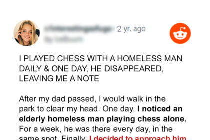 Woman Plays Chess with Homeless Man in Park Every Day, One Morning She Finds a Note — Story of the Day