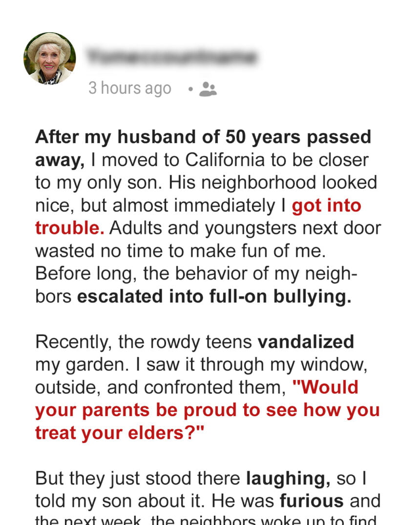 My New Neighbors Bullied Me, So My Only Son Helped Me Teach Them a Valuable Lesson