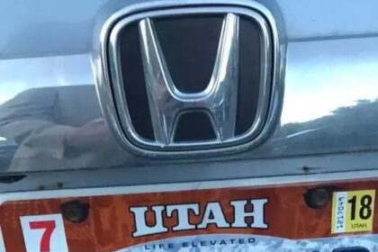 The recent social media buzz centers on a license plate