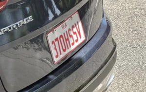 The recent social media buzz centers on a license plate