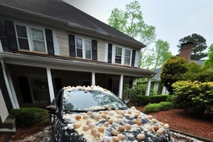 My Neighbor Threw Eggs at My Car Because It Was ‘Blocking the View’ of His Halloween Decorations