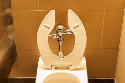 Mystery Over Why Some Toilet Seats Have Open Fronts Has Been Solved